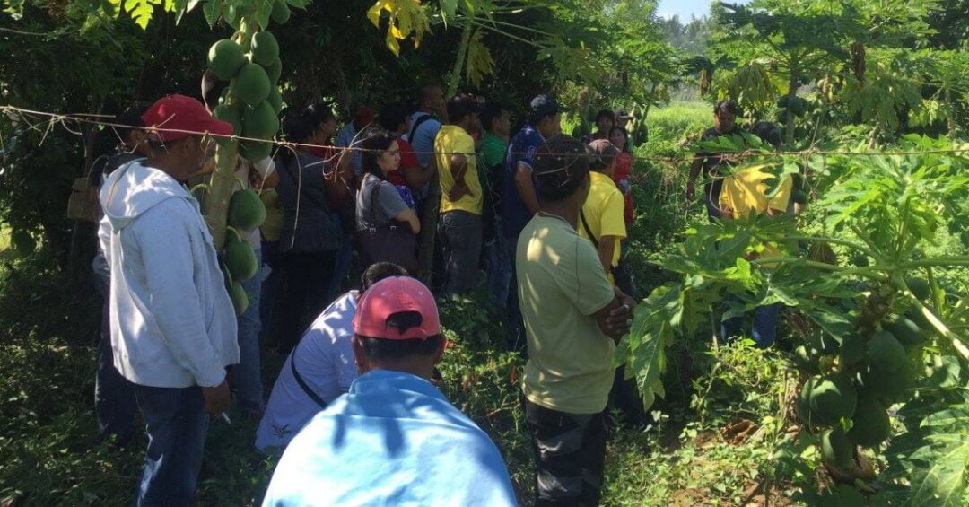 Alay Kapwa Ecological Advocacies Caritas Gumaca SAC