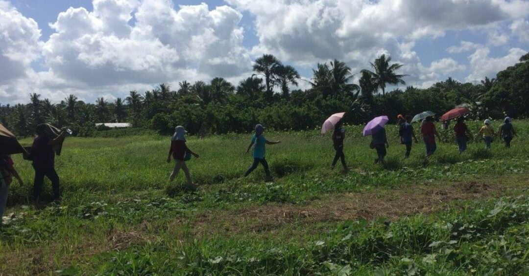 Alay Kapwa Ecological Advocacies SAC Caritas Gumaca