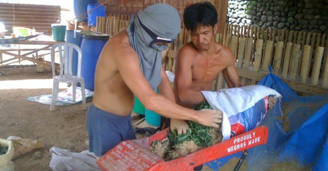 Alay Kapwa Para Sa Kalikasan