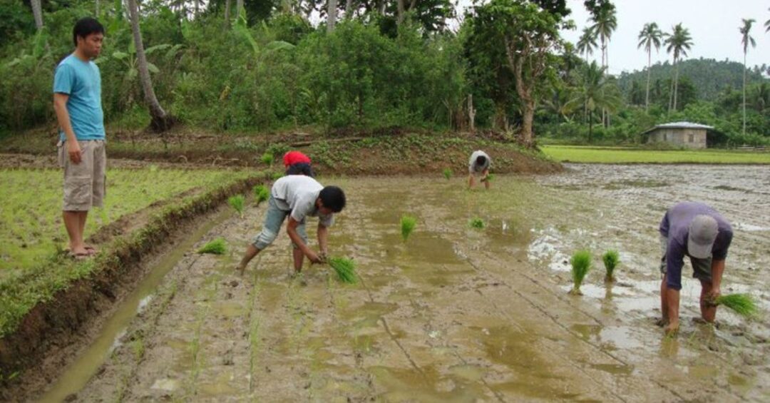 Alay Kapwa Para Sa Kalikasan Caritas Gumaca