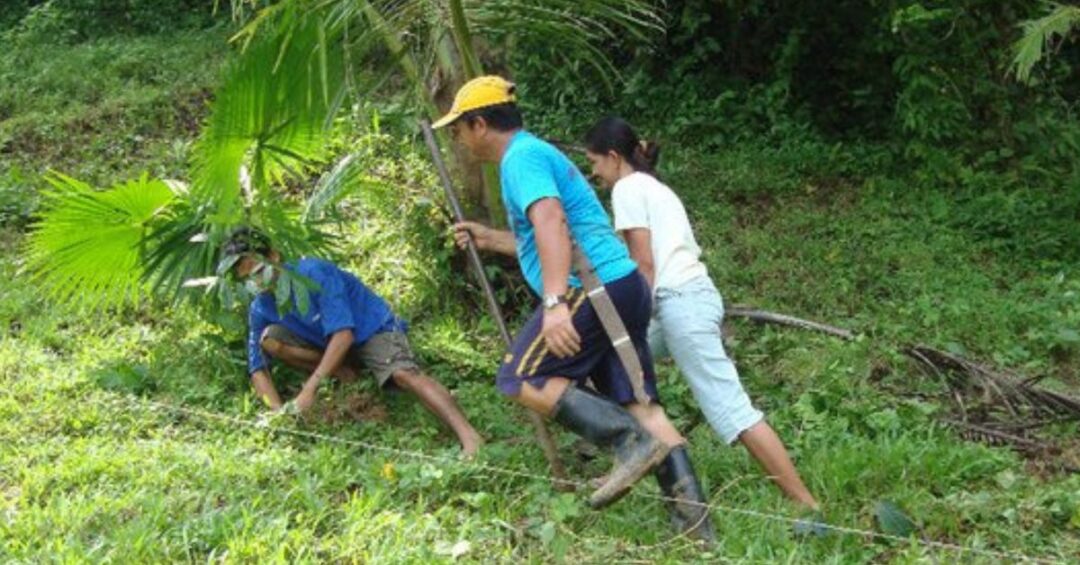 Alay Kapwa Para Sa Kalikasan Caritas Gumaca Quezon