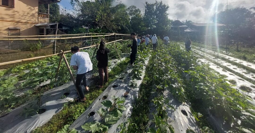 CARITAS GUMACA ECOLOGICAL ADVOCACIES
