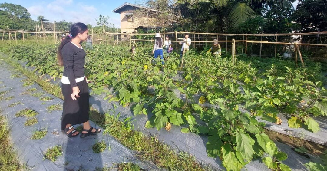 CARITAS GUMACA PHILIPPINES ALAY KAPWA PARA SA KALIKASAN