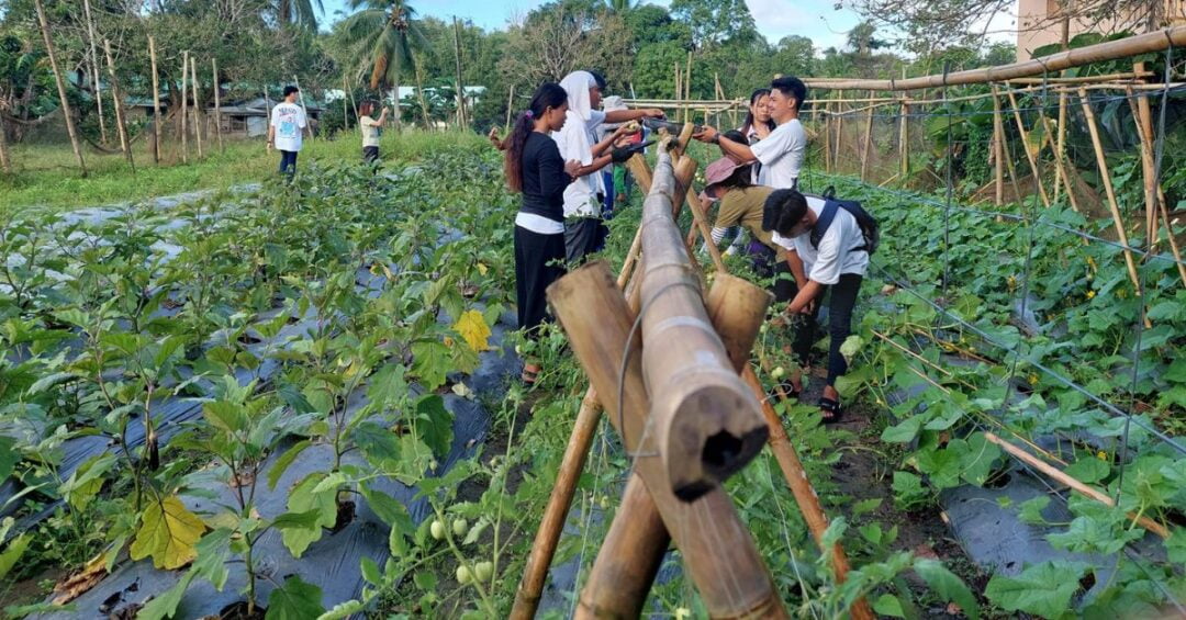 CARITAS GUMACA QUEZON ECOLOGICAL ADVOCACIES