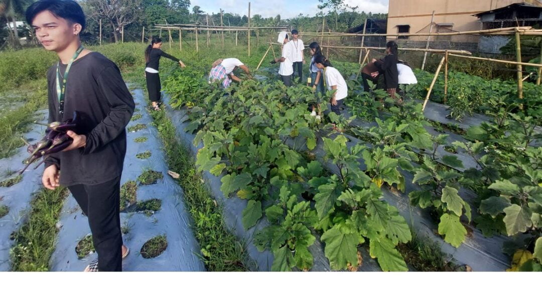 CARITAS GUMACA QUEZON PHILIPPINES ALAY KAPWA PARA SA KALIKASAN