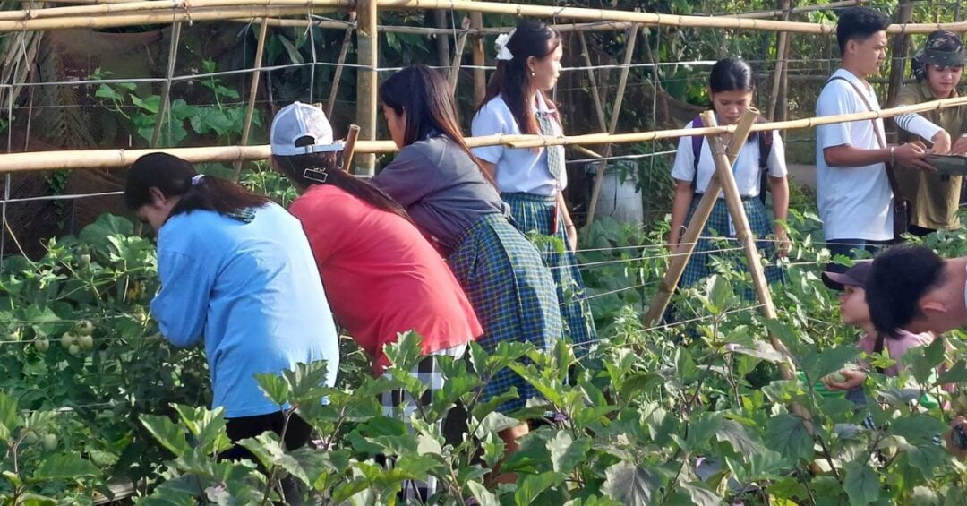 CARITAS GUMACA QUEZON PHILIPPINES ECOLOGICAL ADVOCACIES