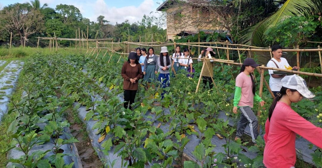 GUMACA ALAY KAPWA PARA SA KALIKASAN