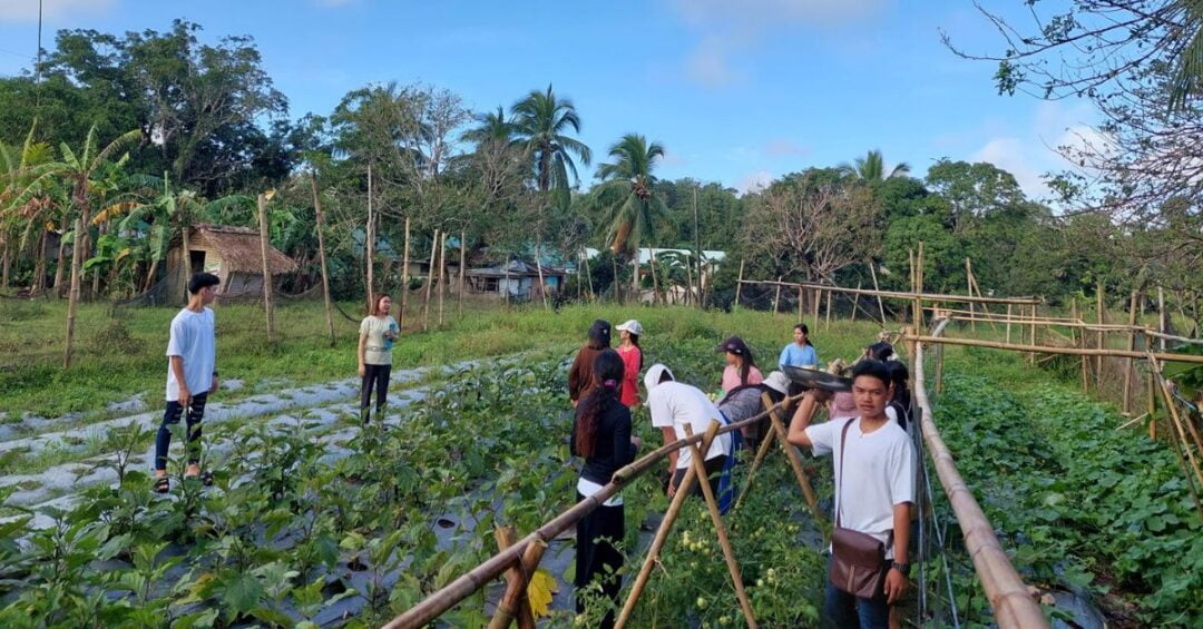 PHILIPPINES CARITAS GUMACA ECOLOGICAL ADVOCACIES