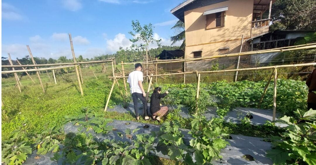 QUEZON CARITAS GUMACA ECOLOGICAL ADVOCACIES