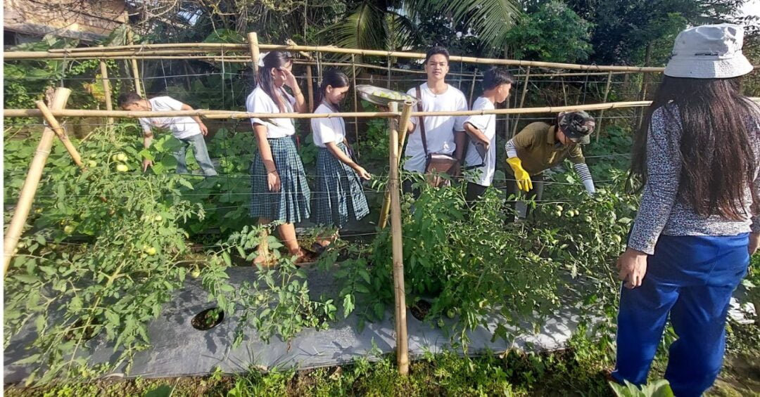 QUEZON PHILIPPINES CARITAS GUMACA ECOLOGICAL ADVOCACIES